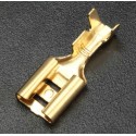 Cosse femelle 4.8 mm 