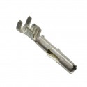 Cosse Molex MLX - femelle